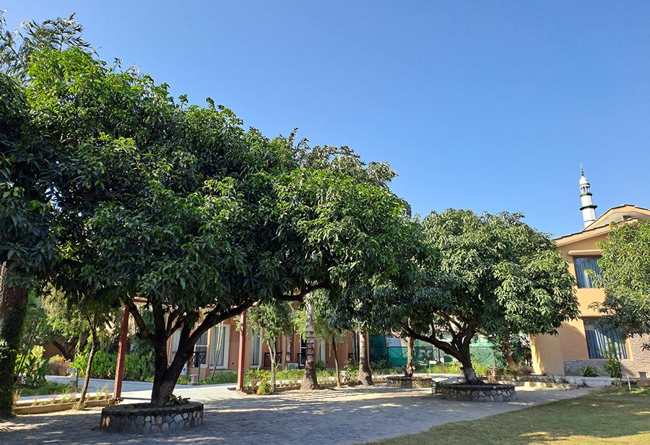 Aamod Resort , Jim Corbett